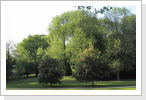 Stadtpark im Mai 2011 Stadtpark im Mai 2011